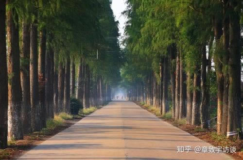 如何解决黑网支付端口维护 突发事件对策(图)