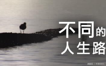 电脑导出excel文件变空白怎么办啊.文章开头语(图)
