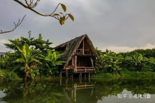 有谁可以解决注但出现异常一直提款失败.内容导语(图)