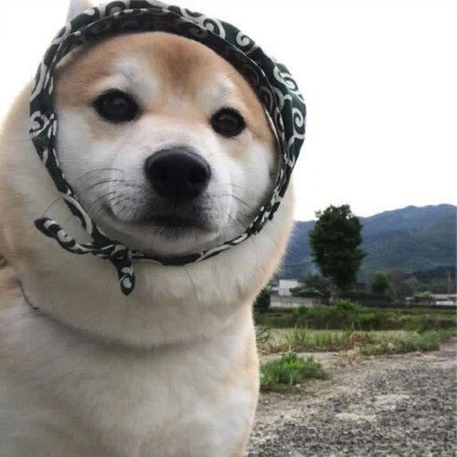 注单延迟提不了款怎么办这里有办法.文章慨括(图)