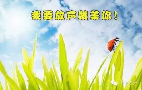 在网站财务清算取款一直失败?专业人士可以解决.内容核心(图)