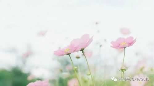 关于【碰到黑网系统审核取款失败】－－完全是黑平台
