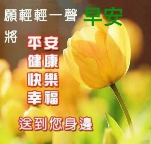 网络平台藏分出的成功率高吗.文章概览(图)