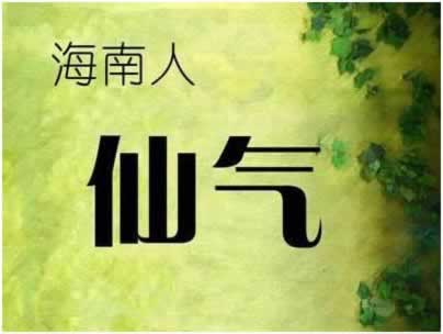 系统审核提不了钱?掌握这些技巧,轻松应对!