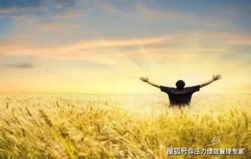 遇到网站黑平台怎么办?揭秘如何安全上网,避免陷阱!