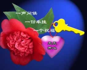 在黑平台上被黑怎么找人.文章导言(图)