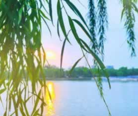 黑平台出款通道维护风控审核，提取款失败背后的真相揭秘怎么避免（图）