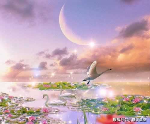 关于【网络上说账户异常提现失败】:解决思路和方面。