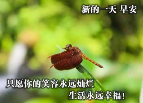 网站被坑注单检测不让提款怎么办?网站要注意这些.文章导言(图)