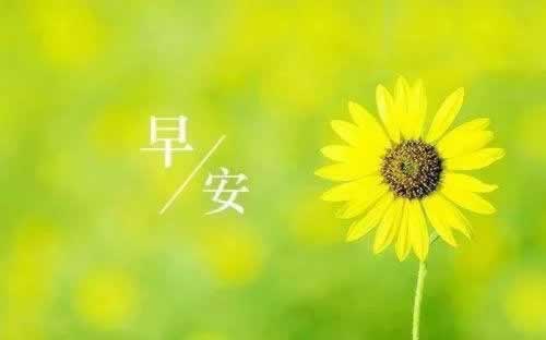 注单审核通过后,为何提款成功却困难重重?