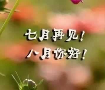 【揭秘】为何平台一直显示“提现中”?揭开背后的真相!
