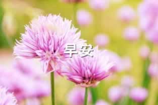 网络上出款通道维护.文章创作谈(图)