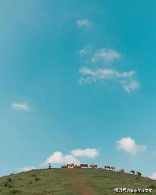 数据无法恢复怎么办.概括(图)