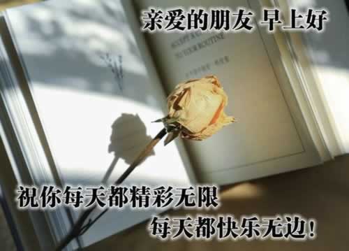 【紧急提醒】提款被黑?系统升级成“挡箭牌”?揭秘提款被拒绝背后的真相及应对策略!
