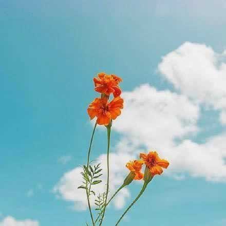 网站提款不到账?揭秘解决之道,让你的资金安全无忧!什么办法(图)