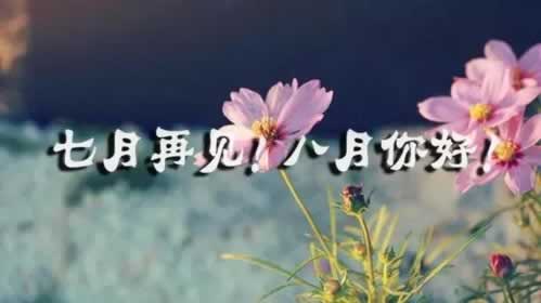 被全网黑了怎么办.文章开头语(图)