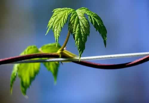 网上平台出款通道维护迟迟不给我出款.概括（图）