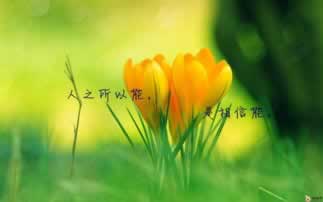 出款通道维护提不了钱怎么办经验分享.内容导语(图)