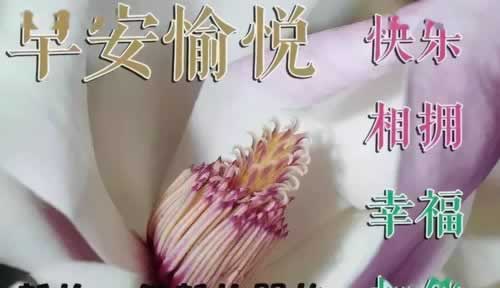 注单延迟,提款无阻!揭秘注单延迟后的提款操作指南是什么情况(图)
