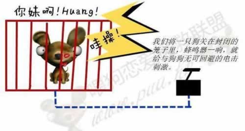账号被风控不能提现?揭秘解决之道,让你的资金安全无忧!是什么情况(图)