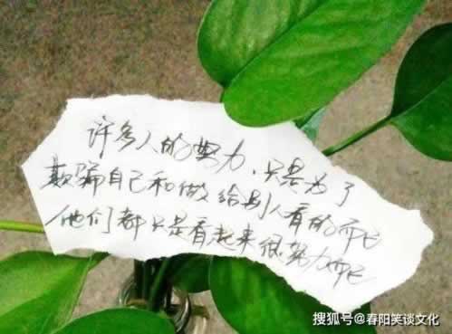 出款维护最长多久什么办法(图)