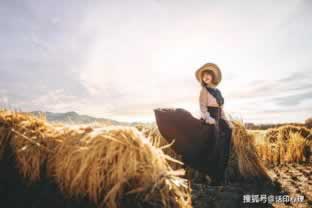 网上被黑提款失败，揭秘背后的风险与应对策略