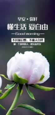 遇到平台被黑出款端口维护出款不.概述(图)