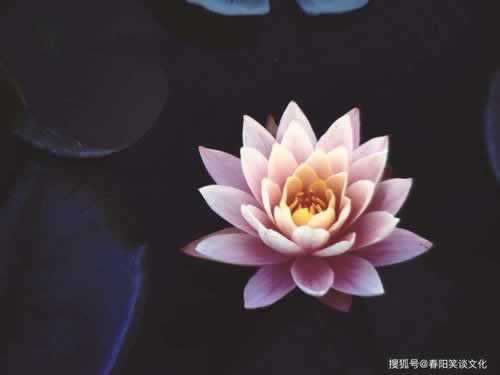 能解决拒绝出款说财务结算怎么情况(图)