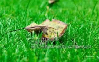 客服说取款通道关闭不能提款现在!完全是黑平台
