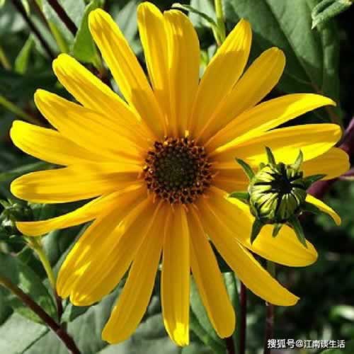 取款通道维护不能提现怎么办.内容导语(图)