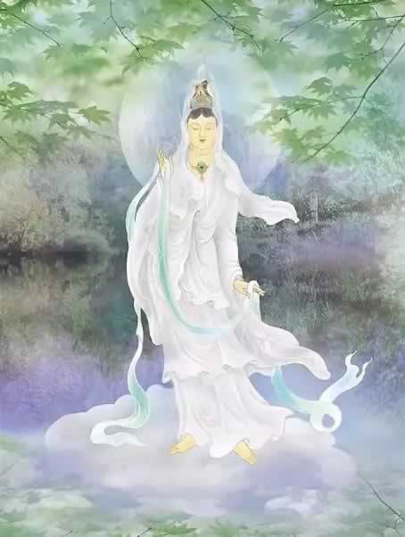 网上赢钱被黑,如何快速找到投诉途径揭秘投诉技巧
