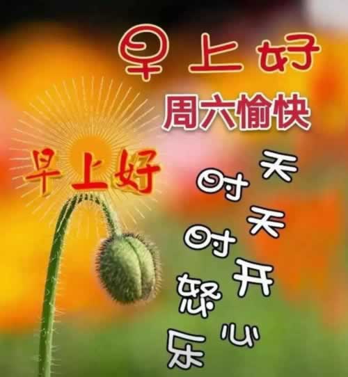 注单异常提不了款怎么办揭秘真相.文章导言(图)