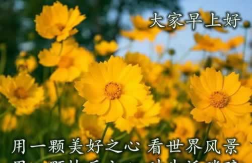 网站出现藏分技术快速出黑是真的吗?难友必看.提要(图)