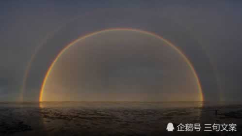 【独家揭秘】出黑技巧:专注解决被黑系统维护难题,让你的系统焕然一新!