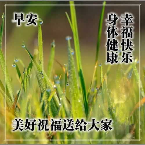 异地就医备案不成功?揭秘背后的原因及应对策略!教你如何避免(图)