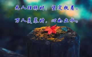 在黑网赢钱提取失败回复通道目前维护！一定要实事求是