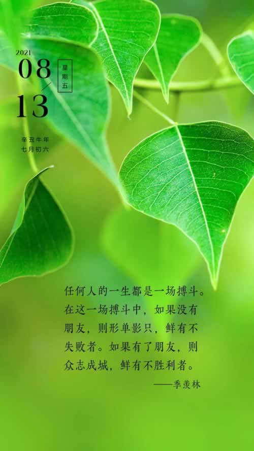 不给提款该怎么办呢.内容随笔(图)