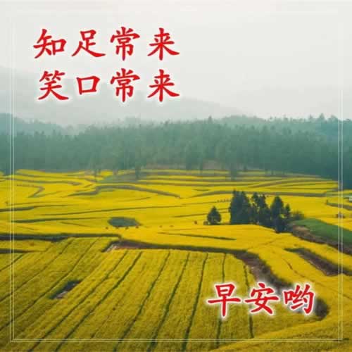 《网上流水不够,提现难?揭秘提现背后的真相与应对策略!》