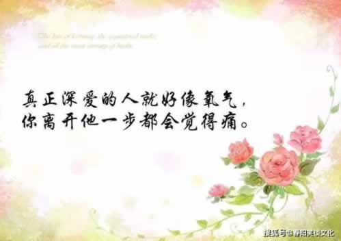 在黑网营前一倍流水被黑.内容开头语(图)