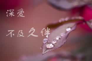 碰到注但异常中提现失败.内容概略(图)