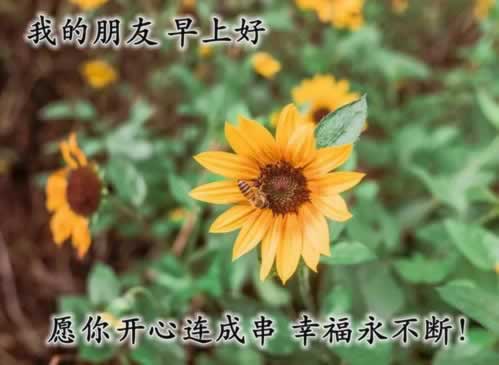 网上平台提不了款.文章开头语(图)