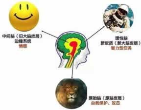 “揭秘网络黑网被黑背后的真相:异常现象背后的秘密”