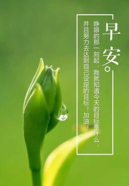 黑网退回出款说财务结算中、怎么应对办法