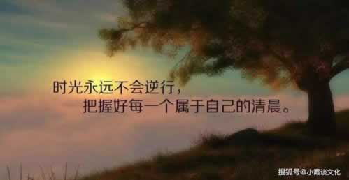 网站提现不了?揭秘解决之道,教你如何追回损失!