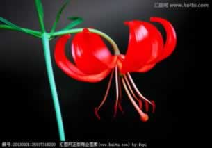 提款不成功的原因.小序(图)