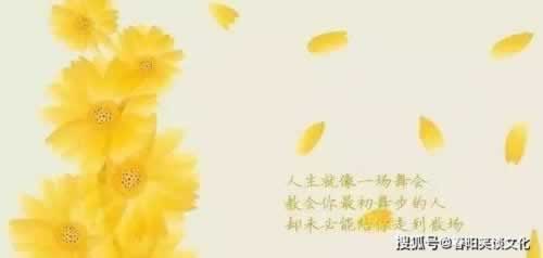 被黑后提现失败,揭秘风控审核背后的真相及应对策略