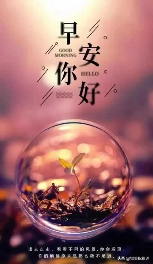 风控审核不通过,别慌!揭秘解决之道,轻松应对!