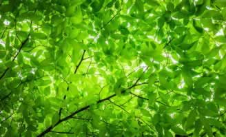 被网站黑了9万提不出来.编者心得(图)