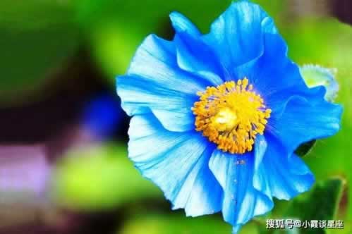 能解决财务清算不能提现.读者的话(图)