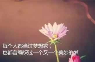《揭秘:为何网上黑平台异常频发,黑手究竟是谁?》